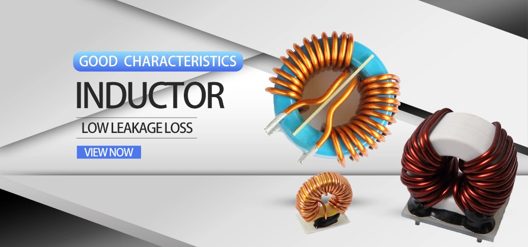 Direct Manufacturer Toroidal Ferrite Inductor DIP Power Inductor